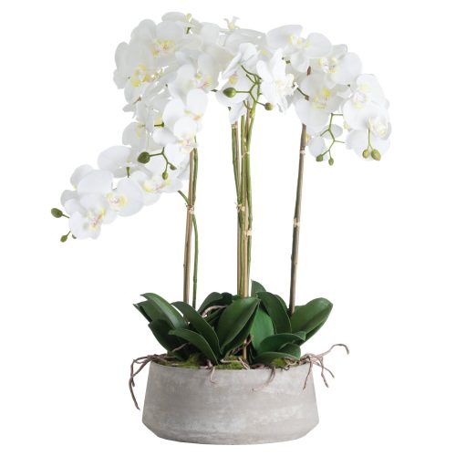 Artificial orchid in large pot