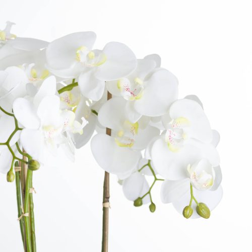 Loren Artificial Orchid In Stone Pot, White - 90cm x 50cm