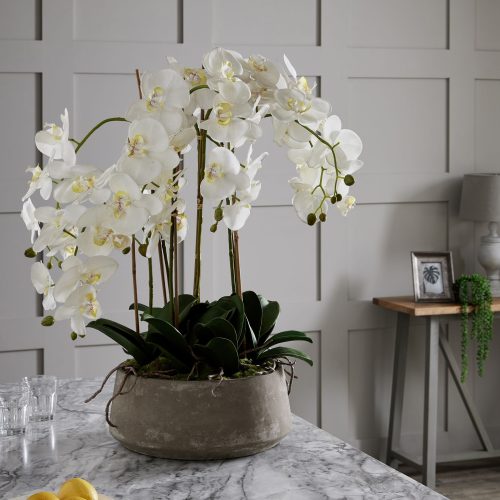 Loren Artificial Orchid In Stone Pot, White - 90cm x 50cm