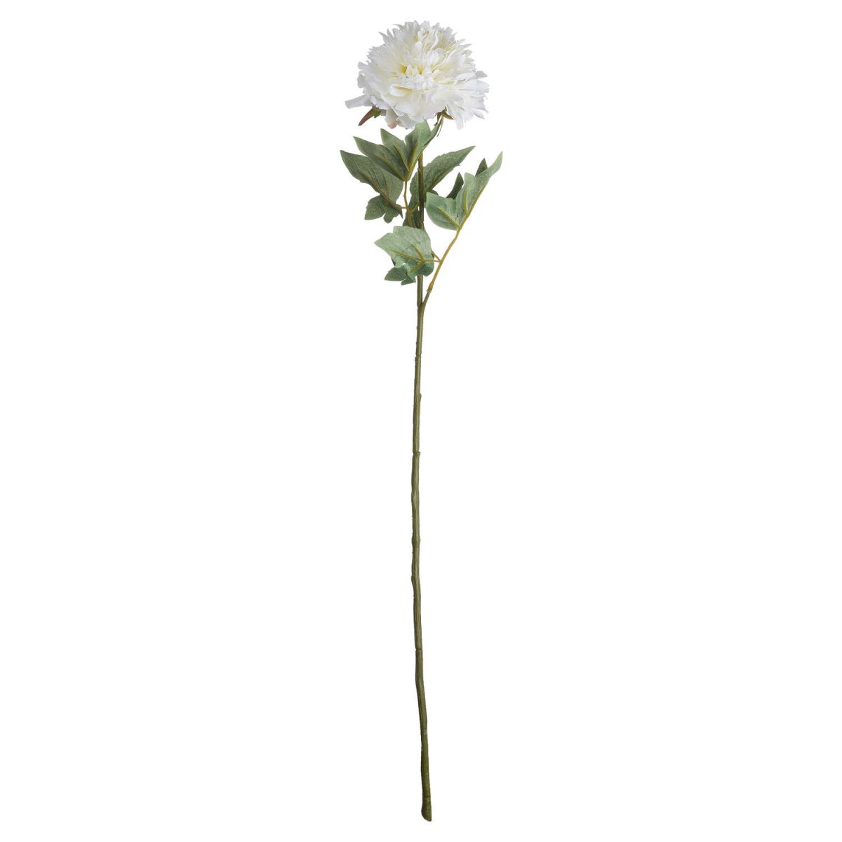Artificial Classic Peony, White - 69cm x 13cm