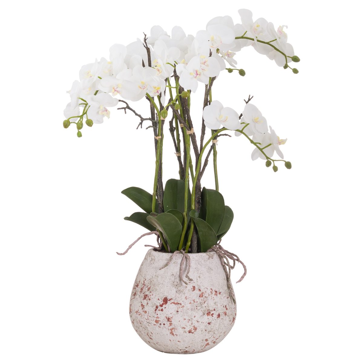 Como Artificial Orchid in Stone Pot - 70cm x 60cm