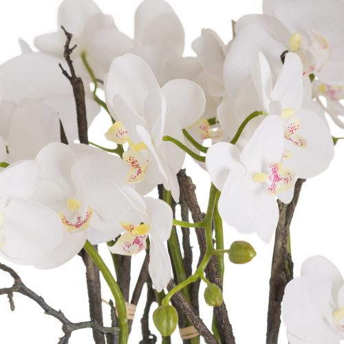 Como Artificial Orchid in Stone Pot - 70cm x 60cm