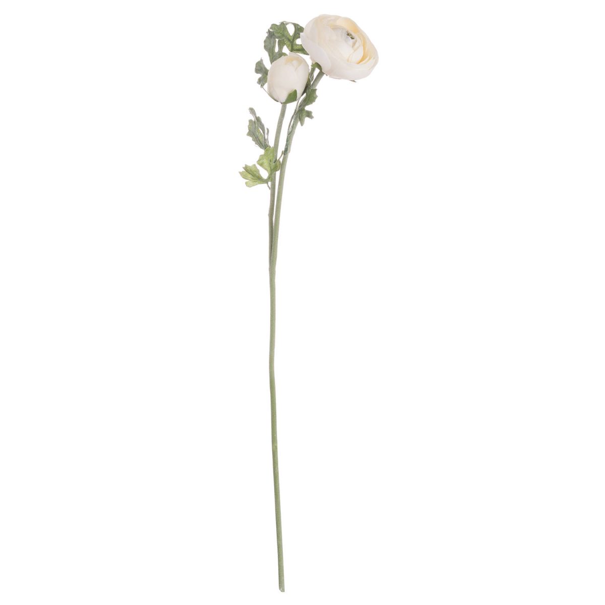 Artificial Ranunculus, Soft Cream - 58cm x 25cm