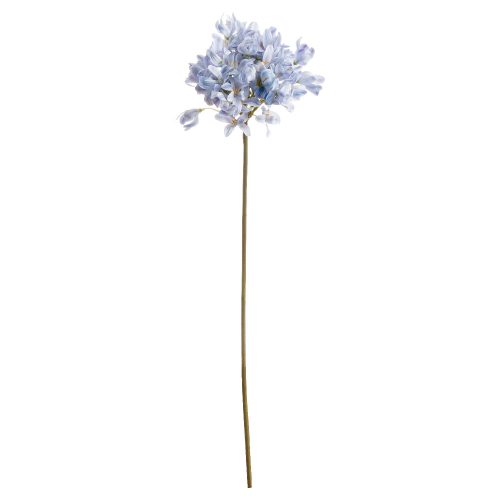 Artificial Agapanthus, Light Blue - 71cm x 24cm