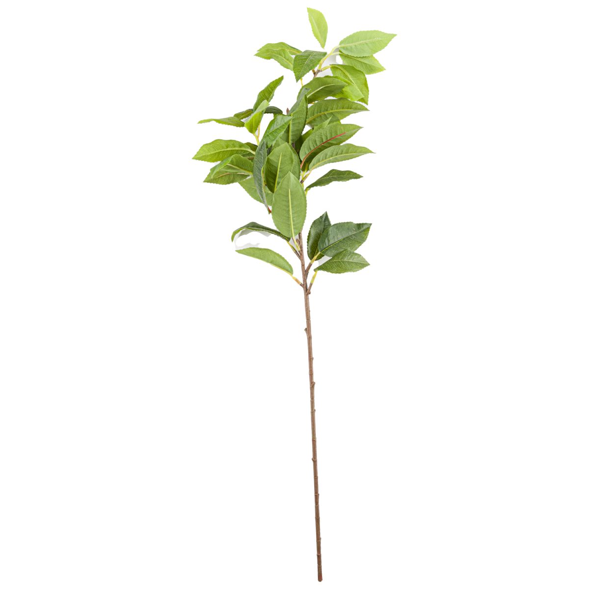 Artificial Laurel Leaf Spray - 60cm x 8cm