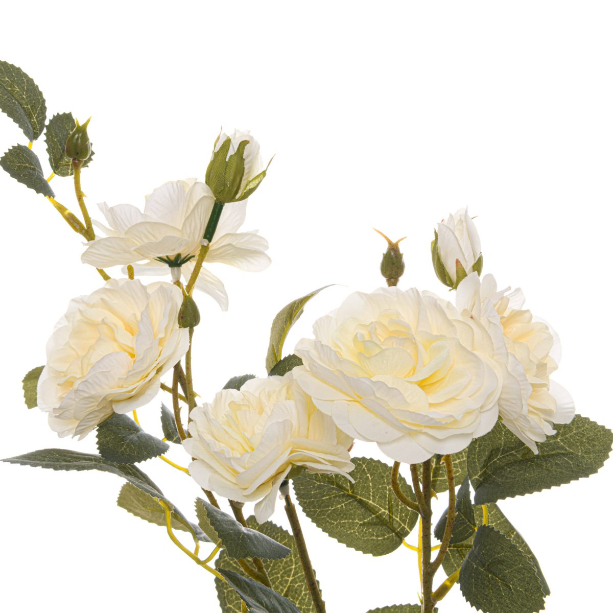 Artificial Cottage Rose Stem, Soft White - 53cm x 8cm