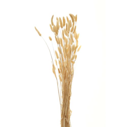 Bouquet Of Tall Bunny Tails - 76cm x 18cm