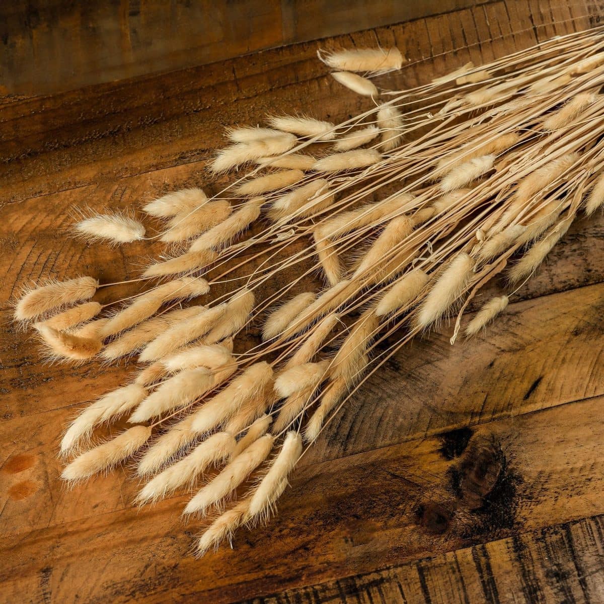 Bouquet Of Tall Bunny Tails - 76cm x 18cm