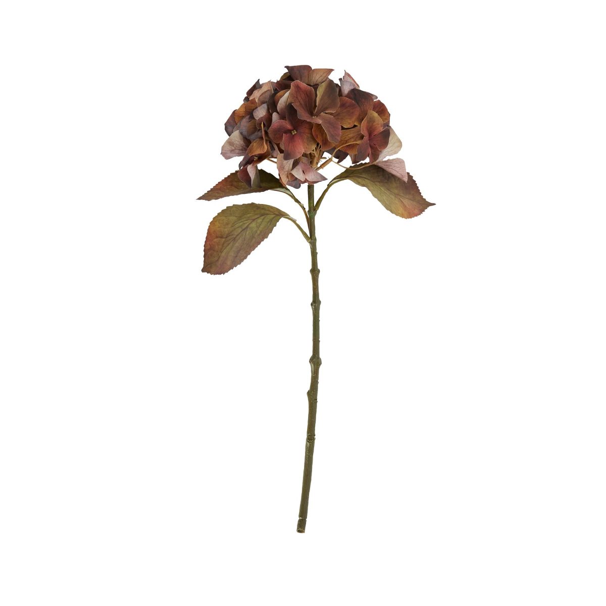 Artificial Hydrangea Stem, Autumnul Brown Tones Single - 50cm x 26cm