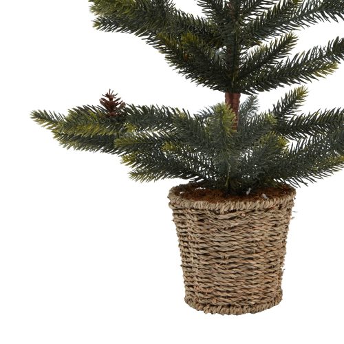 Medium Spruce Tree With Wicker Basket - 30cm x 30cm x 61cm
