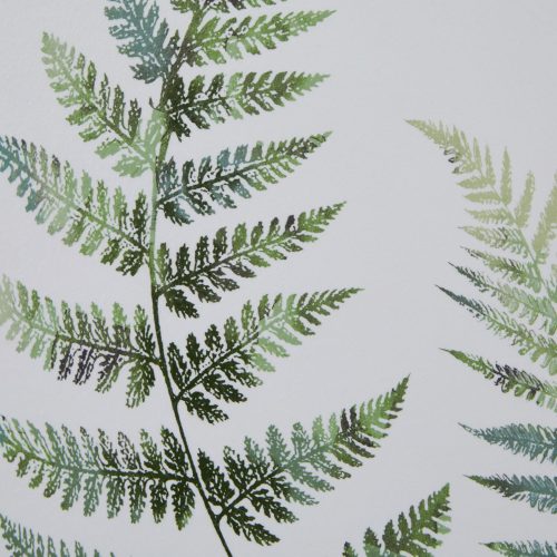 Chesil Fern Watercolour No. 2 (60cm x 50cm)