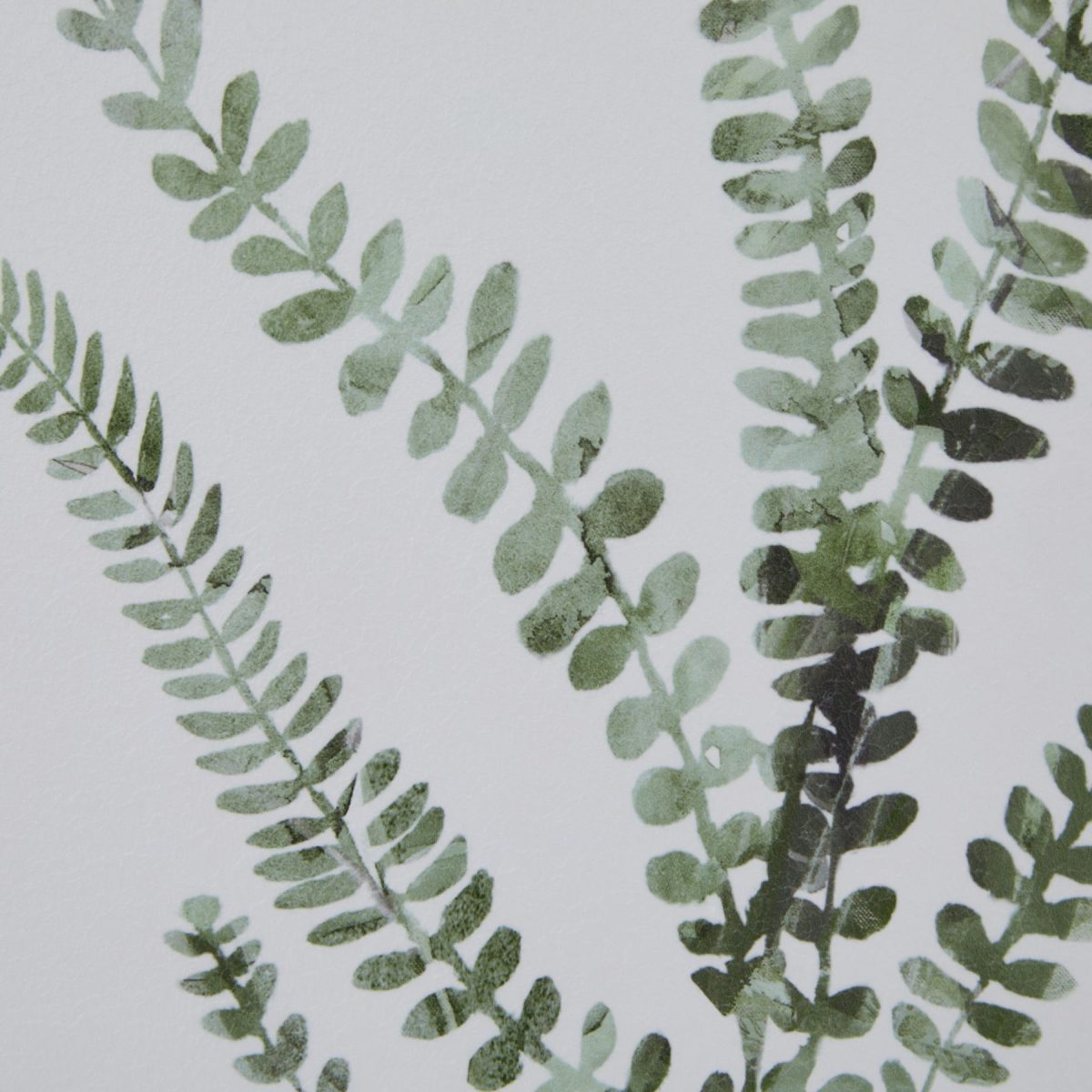 Chesil Fern Watercolour No. 3 (60cm x 50cm)