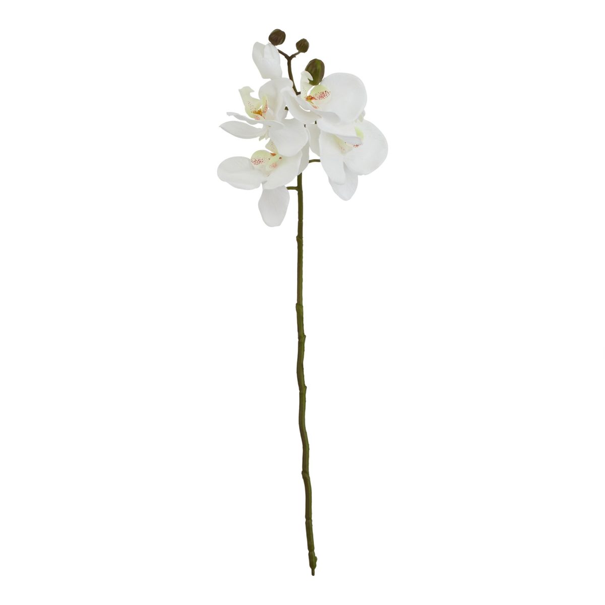 Artificial Butterfly Orchid Stem, White - 52cm x 9cm