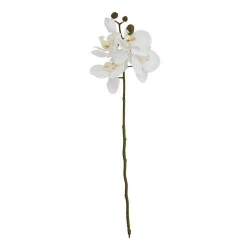 Artificial Butterfly Orchid Stem, White - 52cm x 9cm