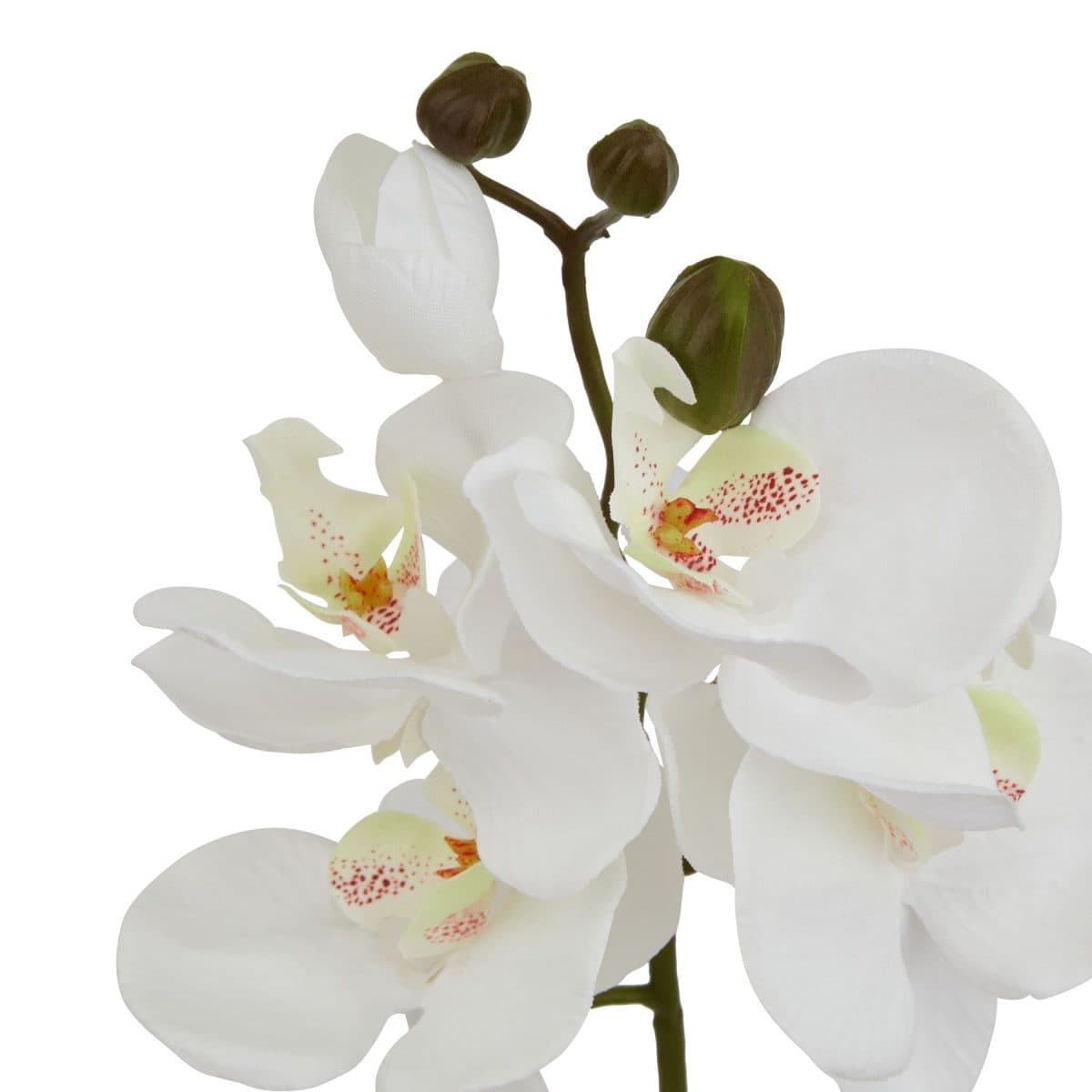 Artificial Butterfly Orchid Stem, White - 52cm x 9cm