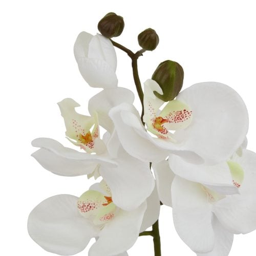Artificial Butterfly Orchid Stem, White - 52cm x 9cm