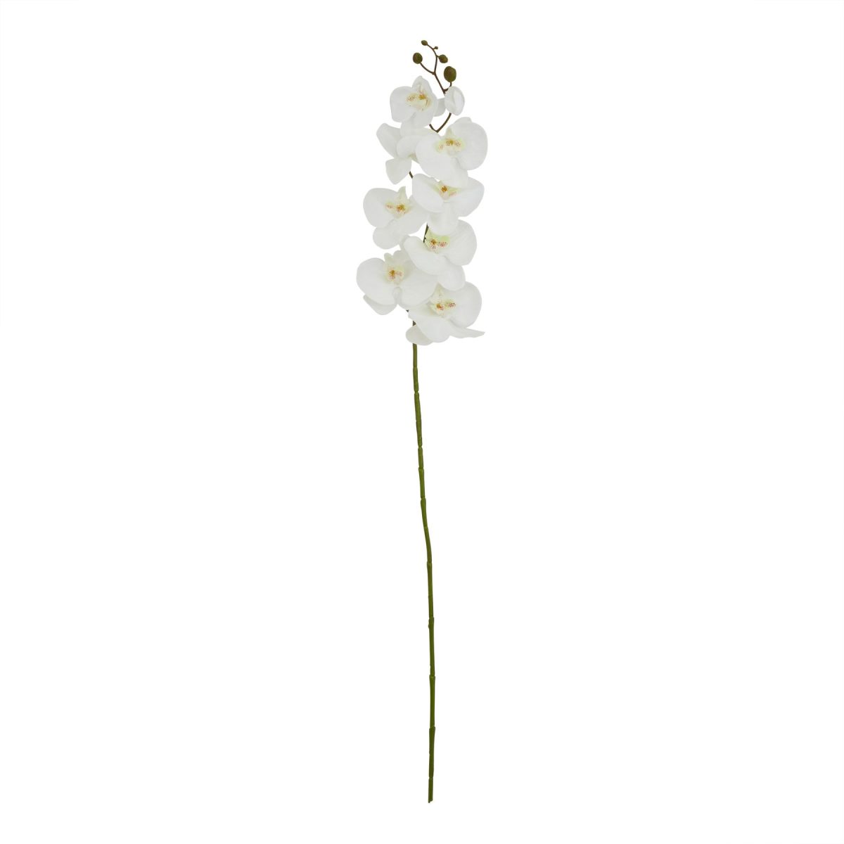 Artificial Butterfly Orchid Stem, White - 103cm x 11cm