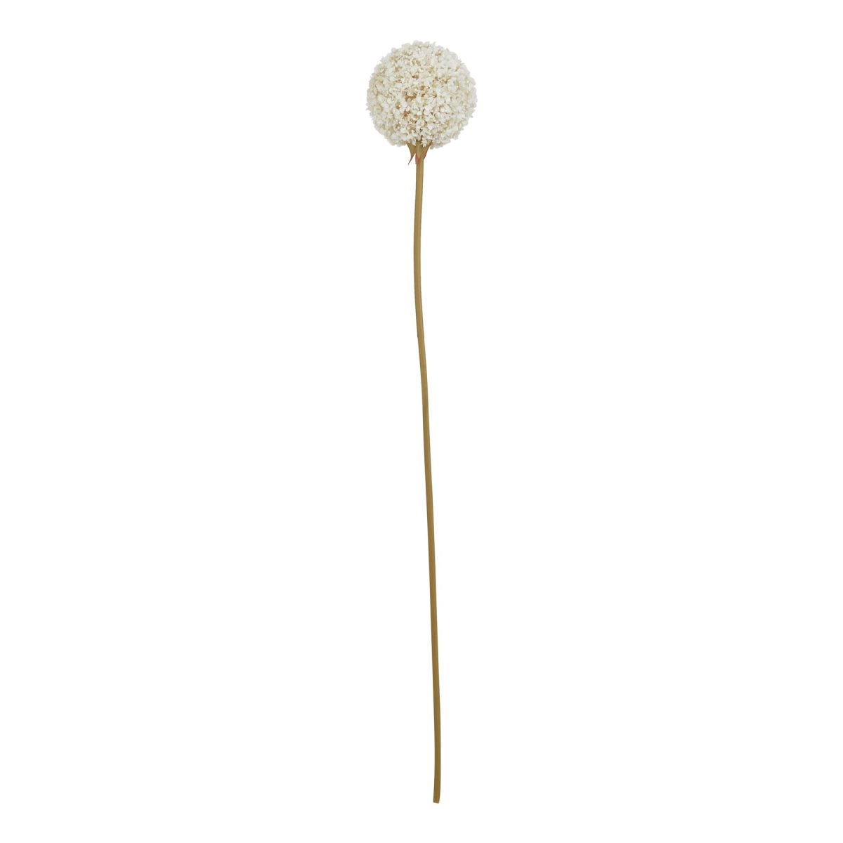 Ava's Garden Collection Artificial Allium, White - 66cm