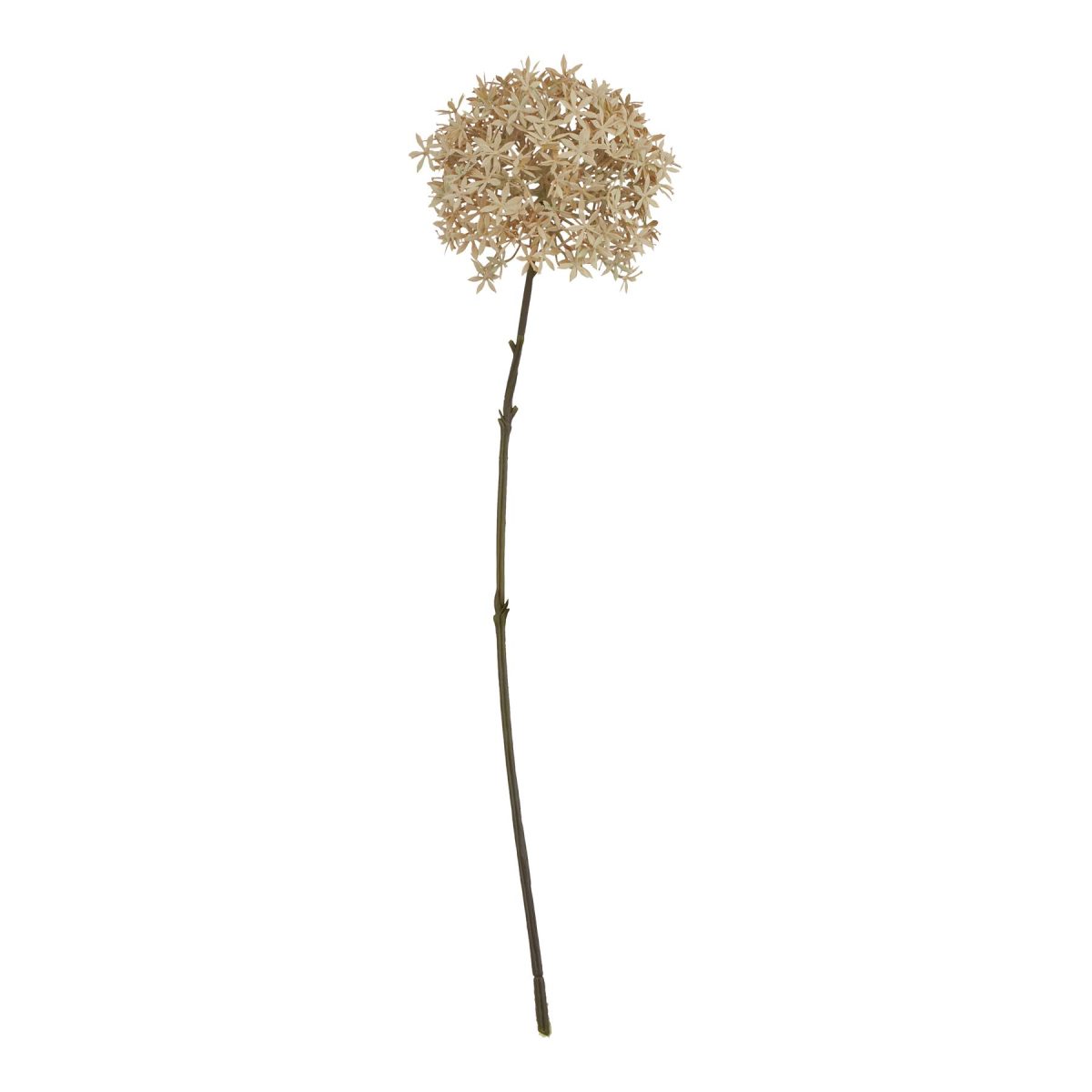 Artificial Allium, Coffee - 63cm