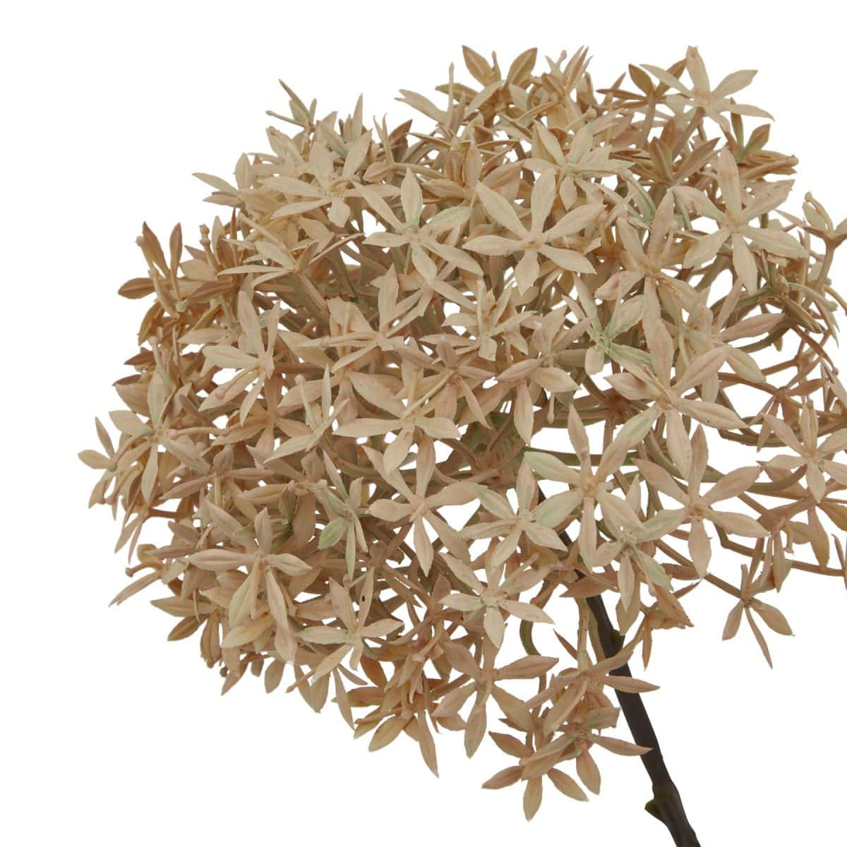 Artificial Allium, Coffee - 63cm