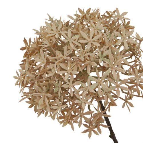 Artificial Allium, Coffee - 63cm