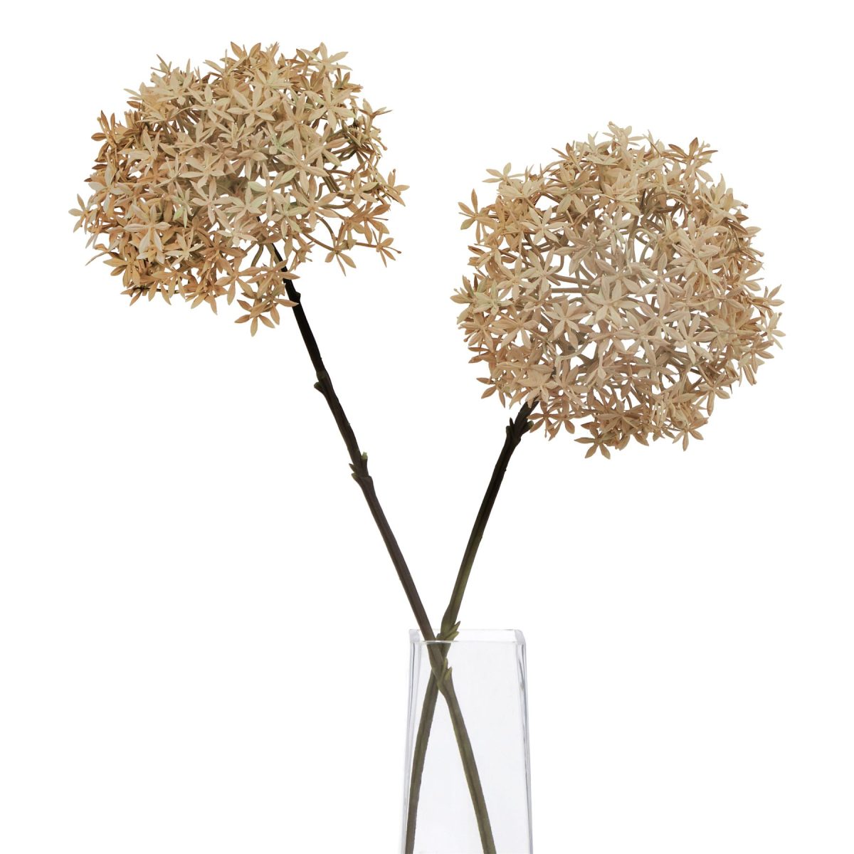 Artificial Allium, Coffee - 63cm