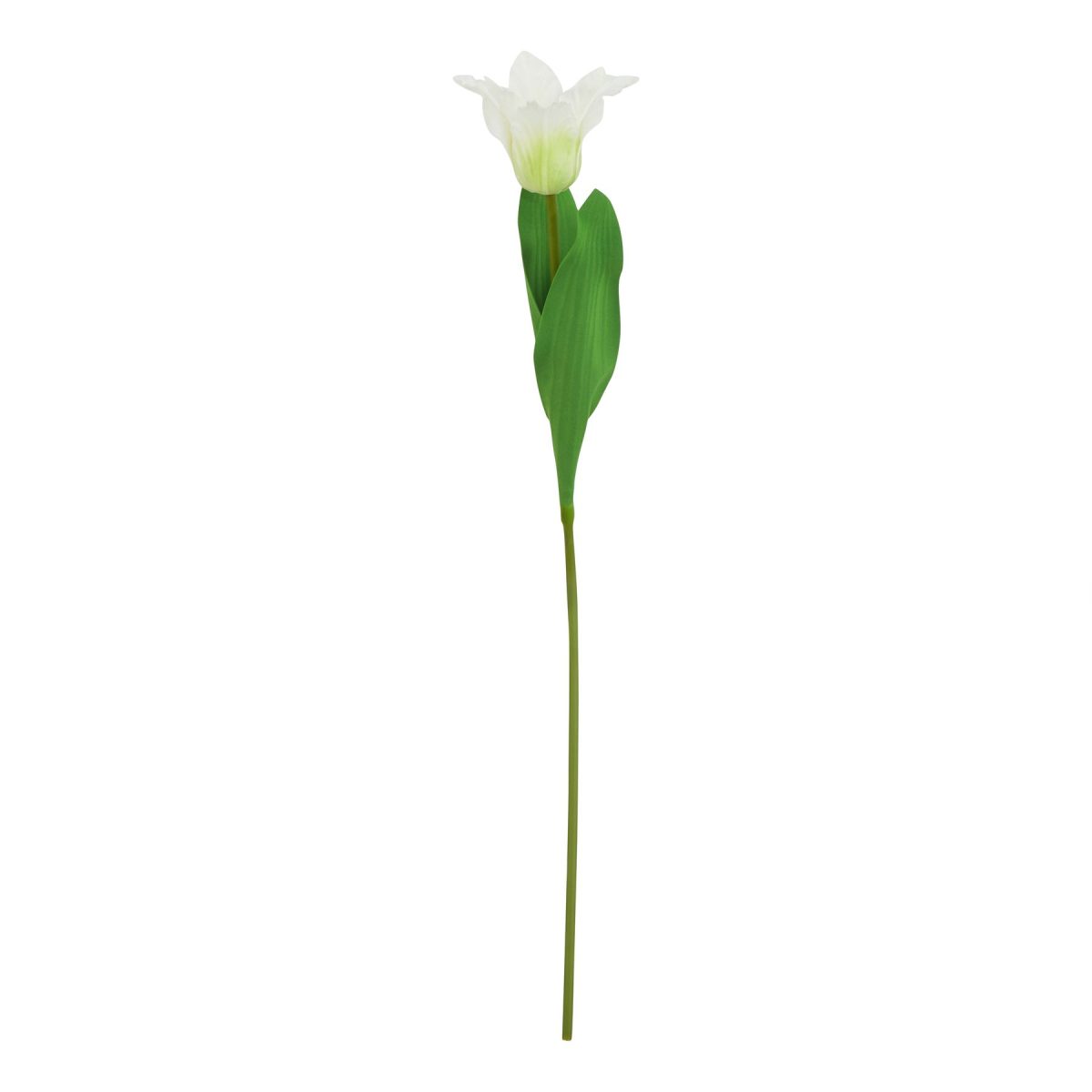 Ava's Garden Collection Artificial Parrot Tulip, White - 67cm x 9cm