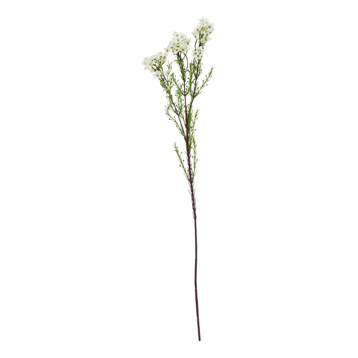 Ava's Garden Collection Artificial Waxflower, White - 80cm