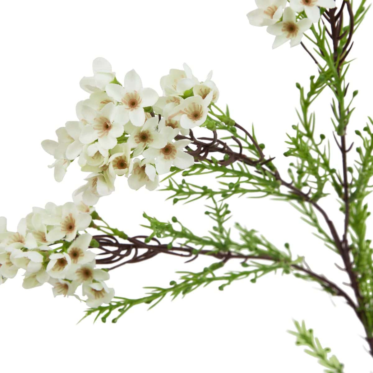 Ava's Garden Collection Artificial Waxflower, White - 80cm