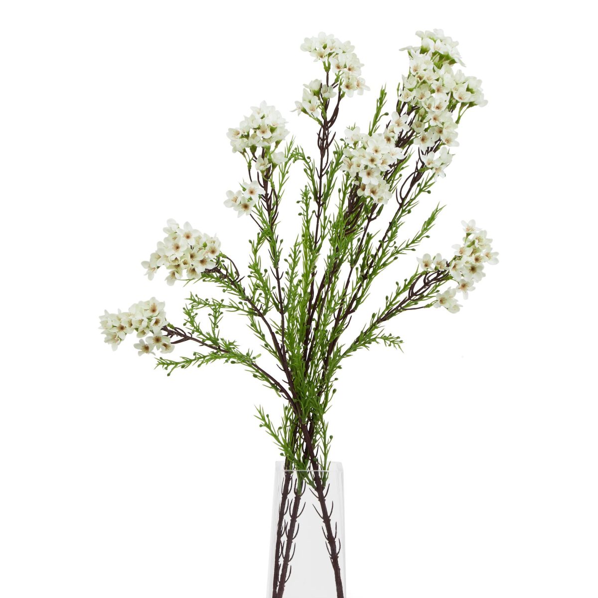 Ava's Garden Collection Artificial Waxflower, White - 80cm