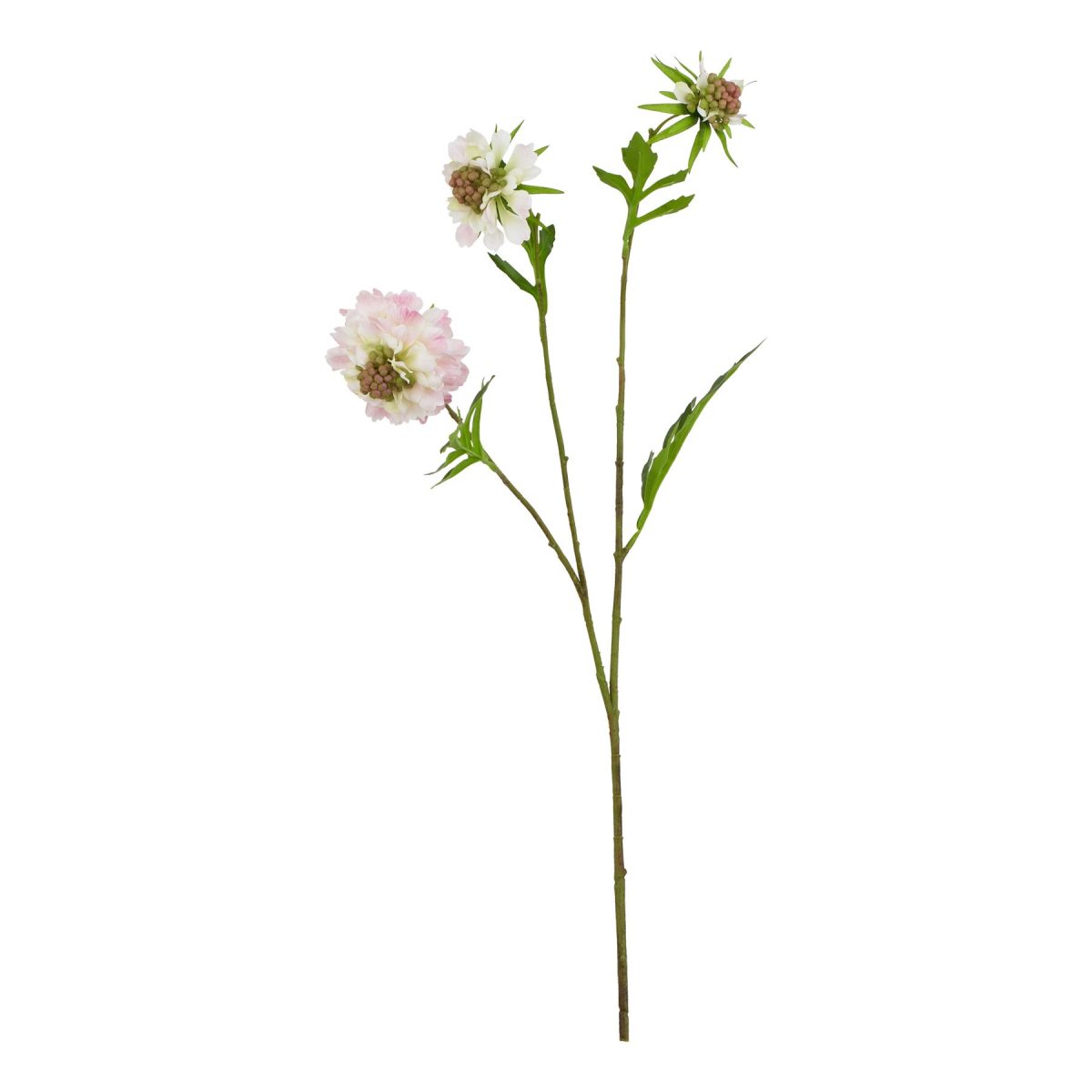 Ava's Garden Collection Artificial Scabious Stem, Pale Pink - 65cm x 21cm