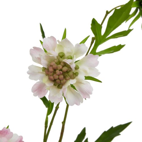 Ava's Garden Collection Artificial Scabious Stem, Pale Pink - 65cm x 21cm