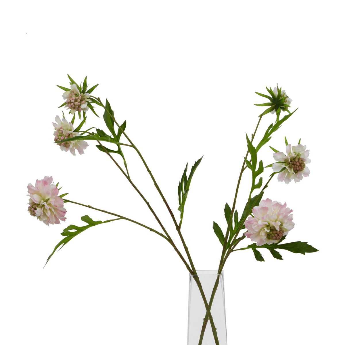 Ava's Garden Collection Artificial Scabious Stem, Pale Pink - 65cm x 21cm