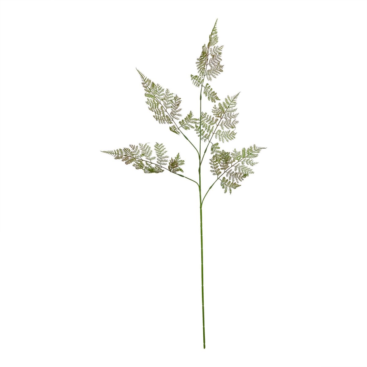 Ava's Garden Collection Artificial Bracken Fern Spray - 111cm x 50cm