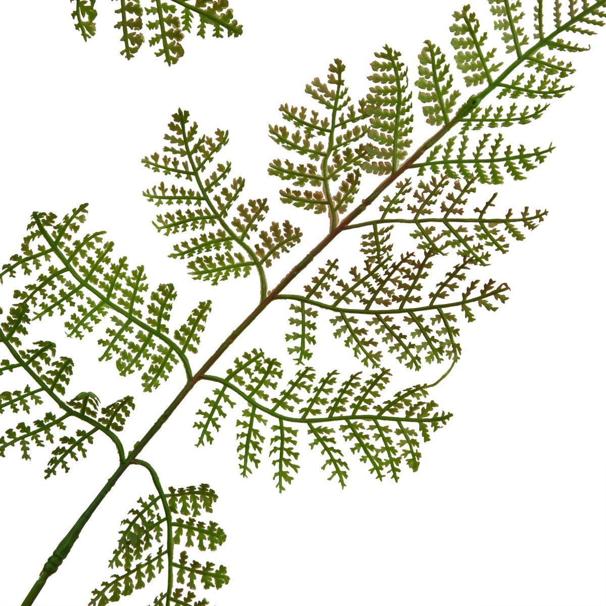 Ava's Garden Collection Artificial Bracken Fern Spray - 111cm x 50cm