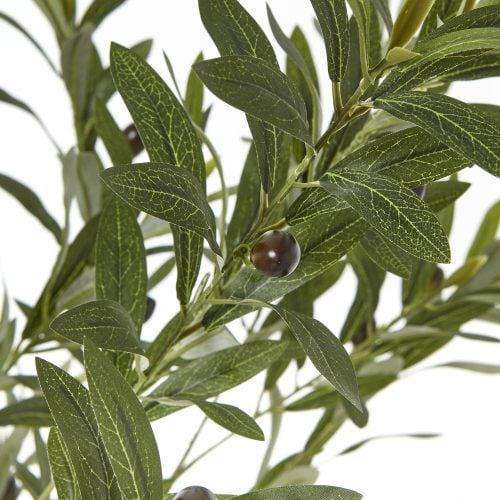 Artificial Sorrento Olive Tree In White Pot 180Cm - 180cm