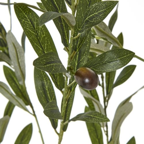 Artificial Sorrento Olive Tree In White Pot 180Cm - 180cm