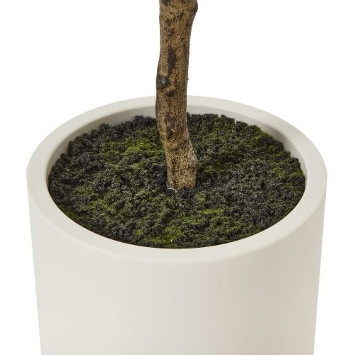Artificial Sorrento Olive Tree In White Pot 180Cm - 180cm