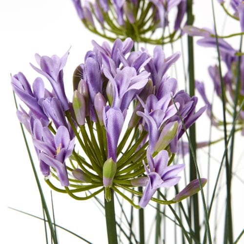 Artificial Purple Agapanthus In Pot - 120cm x 14cm