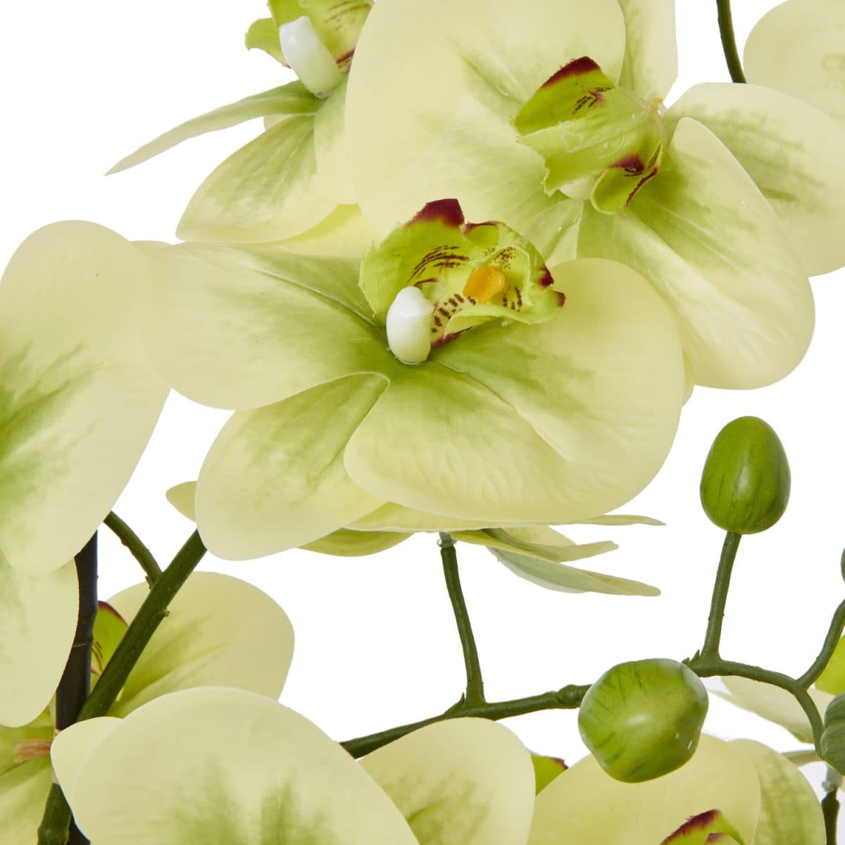 Cavallo Artificial Orchid In Ceramic Pot, Green - 77cm