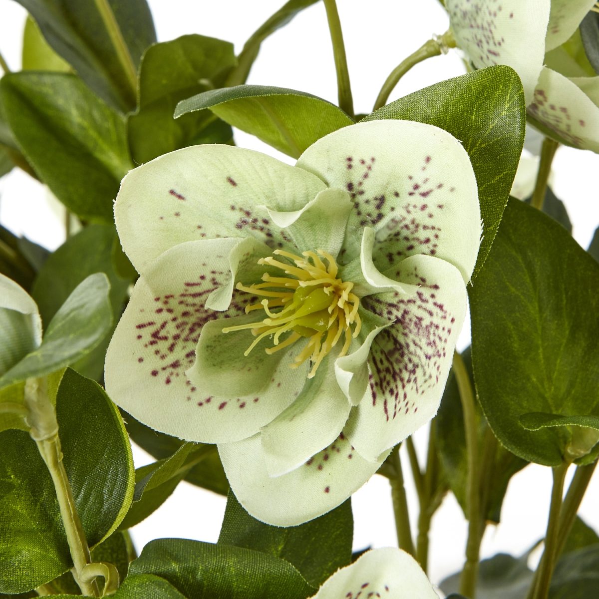 Faux Green Hellebore In Taupe Pot - 42cm