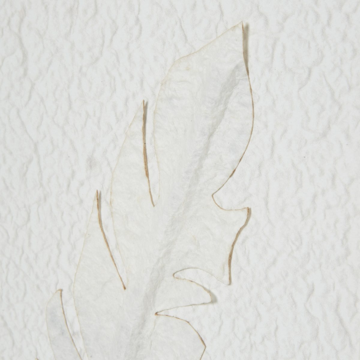 Piuma Feather Art No. 3 (50cm x 50cm)