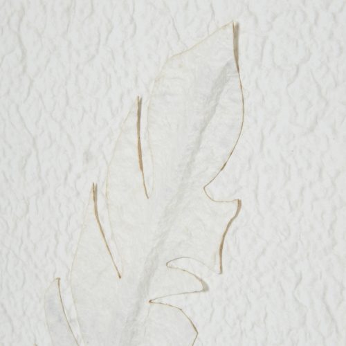 Piuma Feather Art No. 3 (50cm x 50cm)