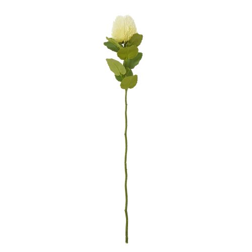 Artificial Banksia Stem, Cream - 59cm