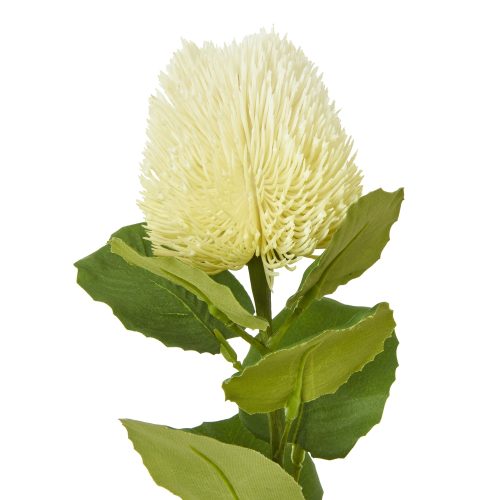 Artificial Banksia Stem, Cream - 59cm