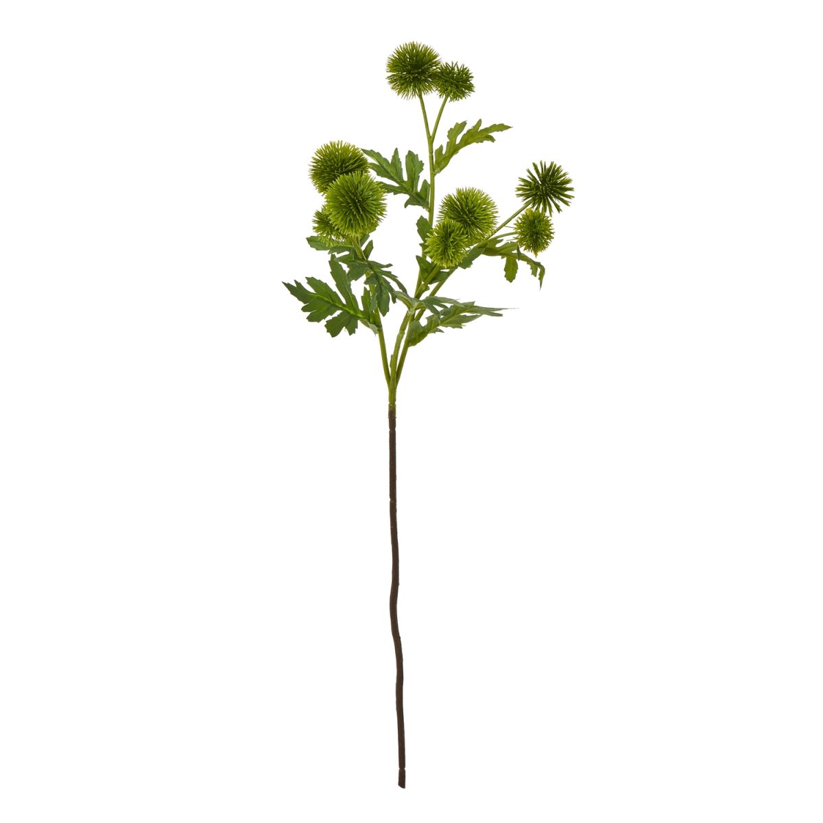 Artificial Globe Thistle Spray, Green - 56cm