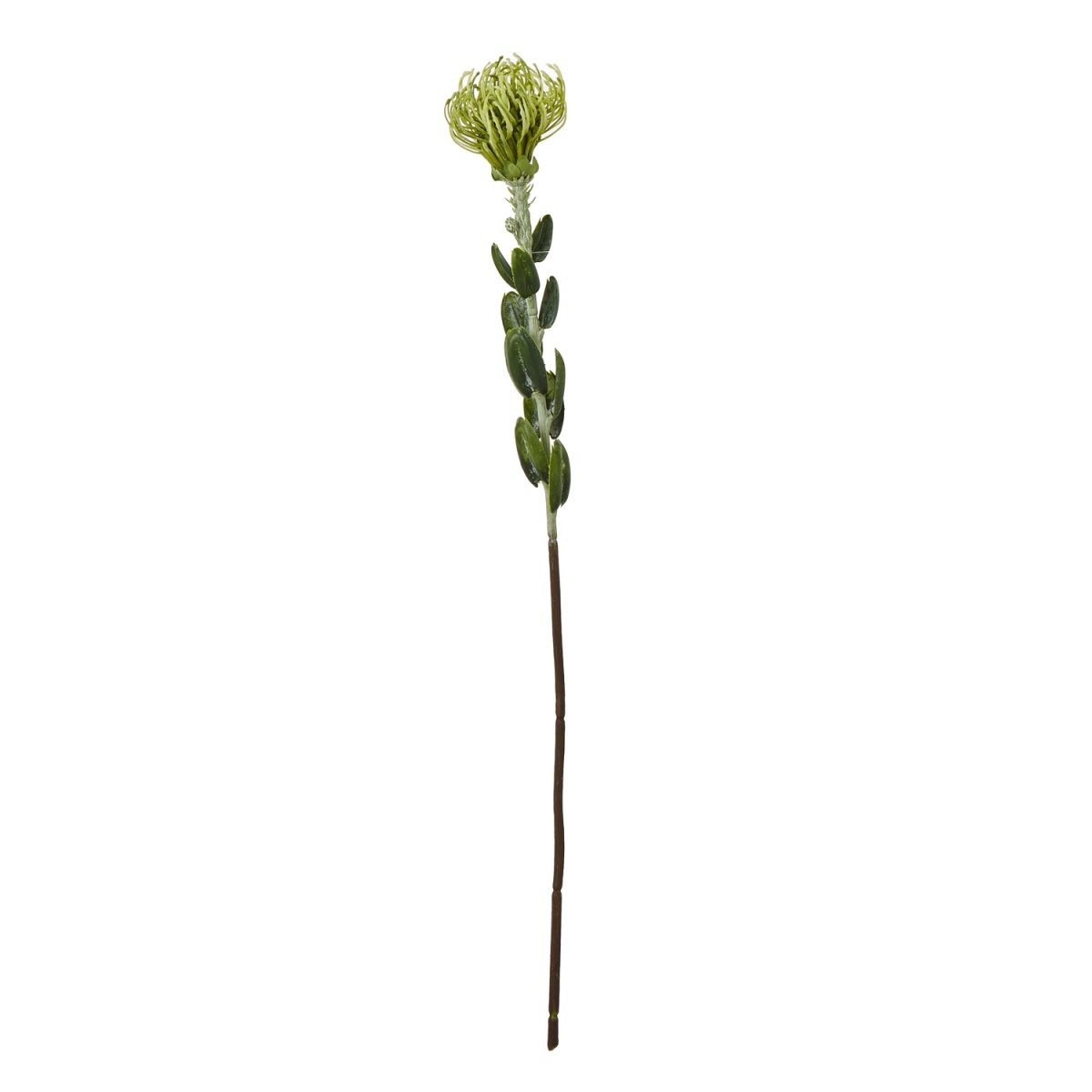 Artificial Pincushion Protea Spray, Green - 61cm