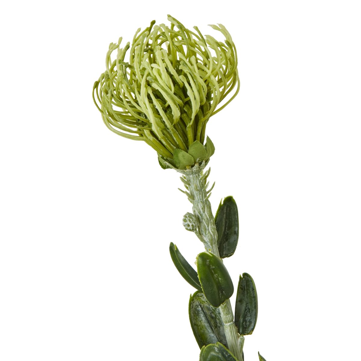 Artificial Pincushion Protea Spray, Green - 61cm