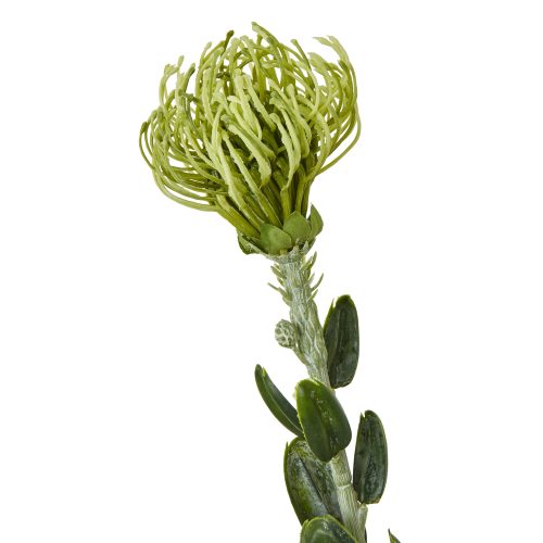 Artificial Pincushion Protea Spray, Green - 61cm