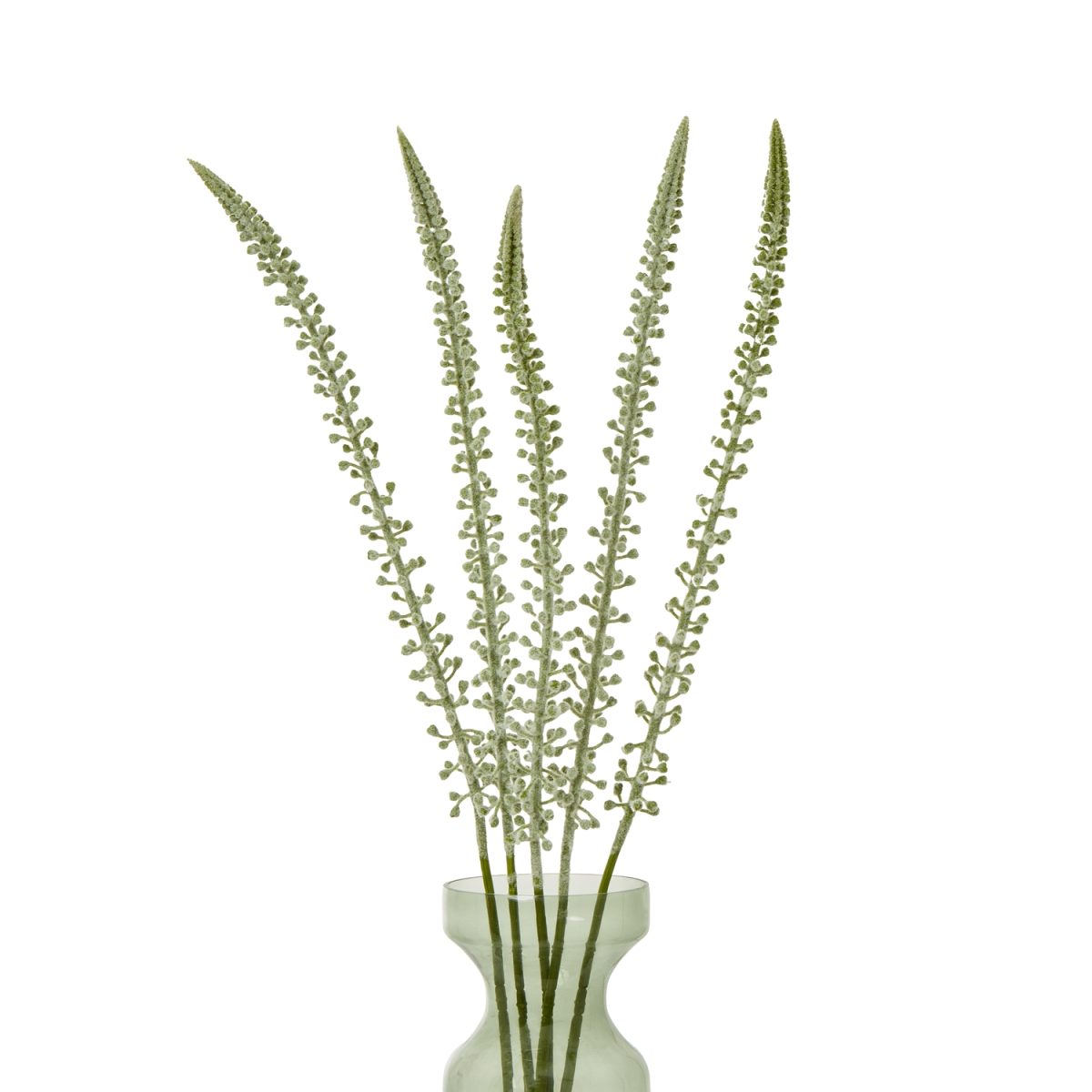 Artificial Eremurus Stem, White - 88cm x 3cm